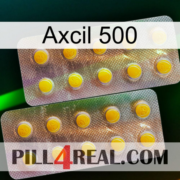 Axcil 500 new10.jpg